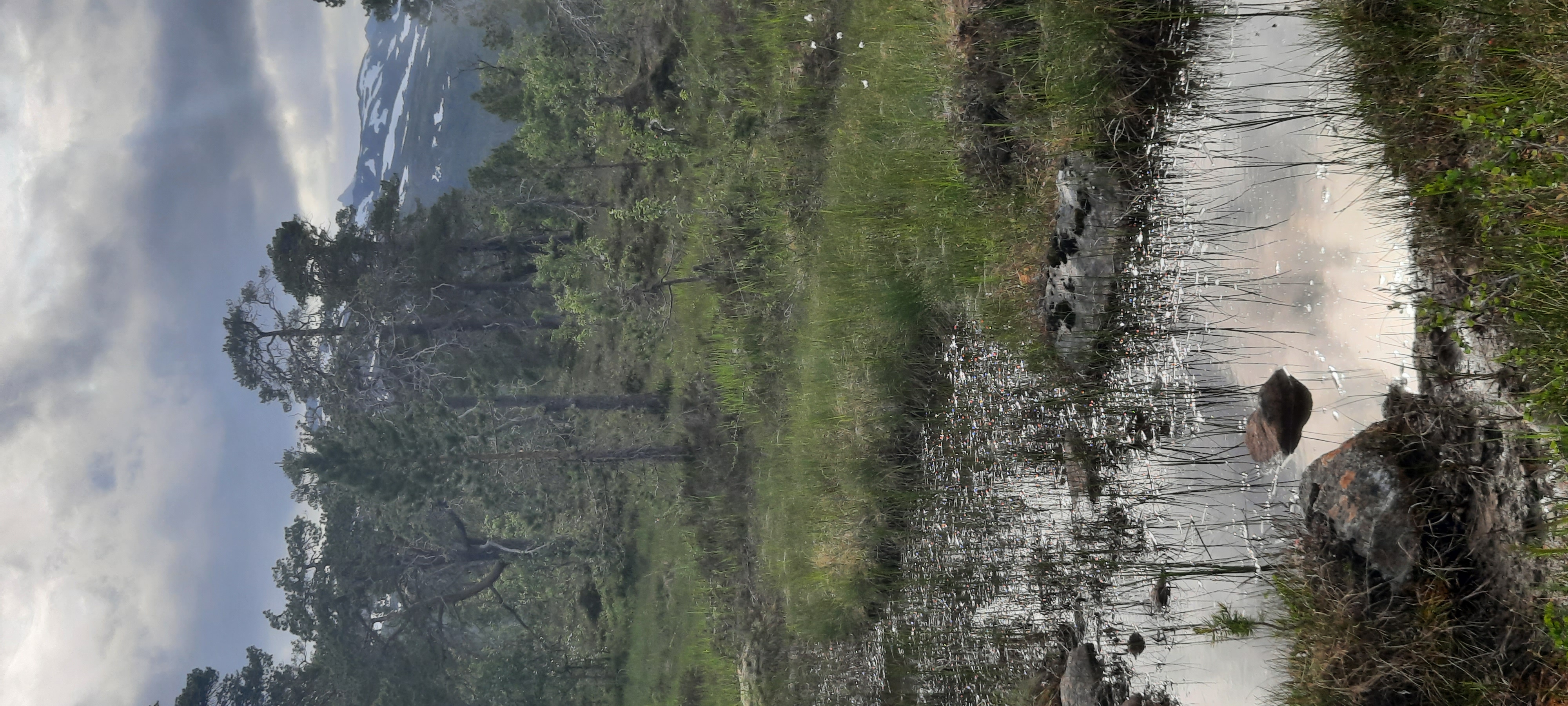 Monenlainen maaperä